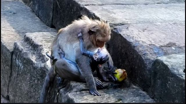 Водные процедуры.