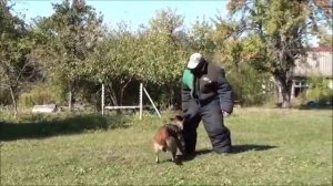 Кирр, тренировка.mp4