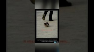 🌳Я начал `⏰️Жизнь/⏰️Судьбу в трущобах городских..