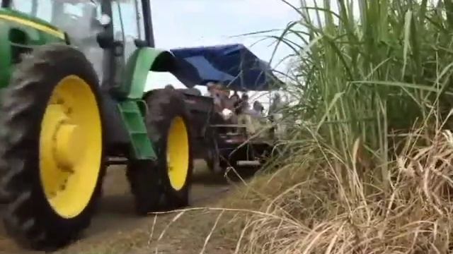 Lafourche Parish Sugarcane Field Day 2012, Raceland, La. смотреть онлайн