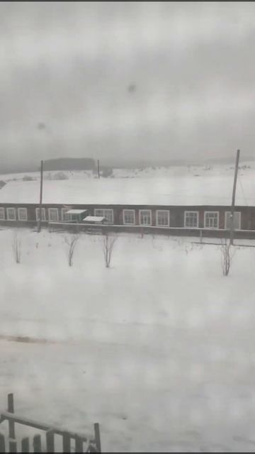 Брюзли(школа) смотреть онлайн