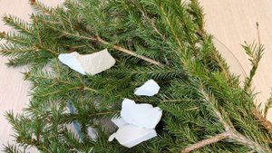 ХРУСТ МЕЛОМ И ПОЖЕЛАНИЯ ДЛЯ ВАС ✨ НОВОГОДНИЙ ВЫПУСК НАСЛАЖДАЙТЕСЬ ХРУСТОМ, ЗВУК ГРОМЧЕ