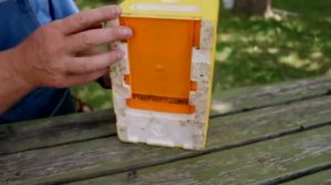 Как сформировать и заселить мининуклеусы для матководства