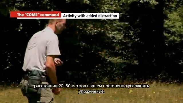 Instruction video d-control RU смотреть онлайн