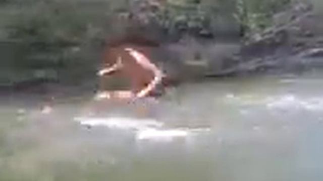 Не клиет смотреть онлайн