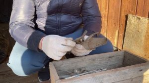 Переехали в деревню из Москвы