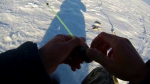 Рыбалка на Песчаном. Окунь со льда на гвоздешарик. Зимняя рыбалка