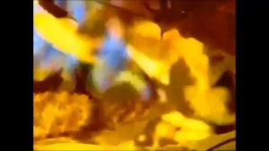 Приходи, осень, к нам