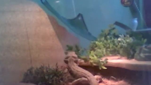 Hunting.exe смотреть онлайн