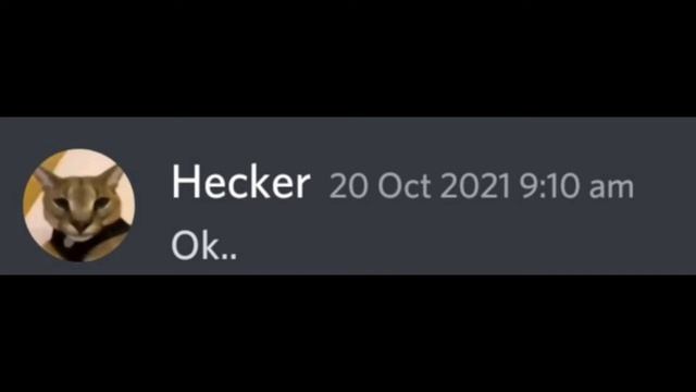 Beluga Newton.........#beluga #discord #mrbeast #hecker #belumom#kimjongun #cat #funny смотреть онлайн