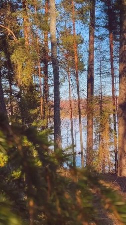 Весна♥️