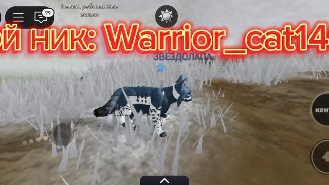 ?!