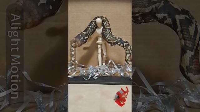 топ 5