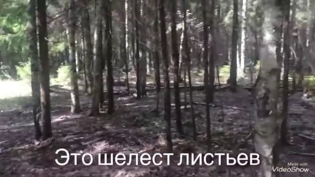 ЗВУКИ ЛЕСА🌿•рубрика "звуки"• 🌿asmr от Kiaholl смотреть онлайн