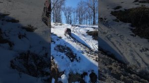 Немного сюжетов с крайней вылазки