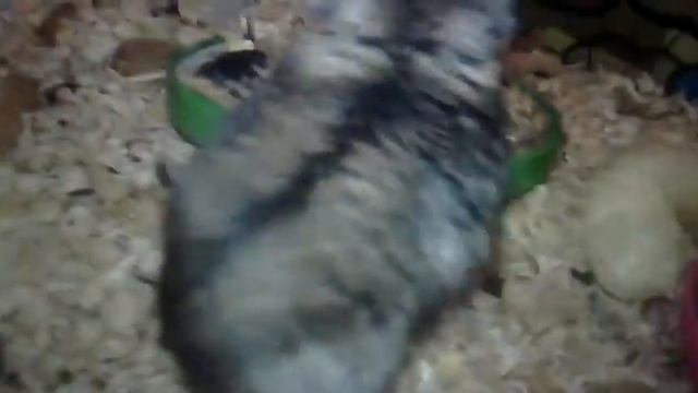 16 марта 2016 г. смотреть онлайн