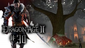 СОБИРАТЕЛЬ ЗАДАНИЙ | Dragon Age 2 прохождение #30 (максимальная сложность)