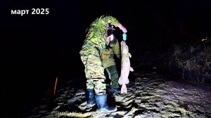 Ох-Ох-Охренительная Рыбалка на Хищника. Щука на Живца. Элитный Живец Премиум Класса Сделал Рыбалку