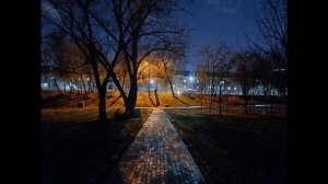 Зимняя ночь без снега