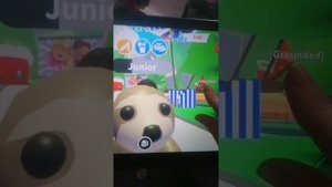 lv_0_20250323114438.mp4