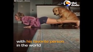 XN.XN Big dog and Girl Playing at Home