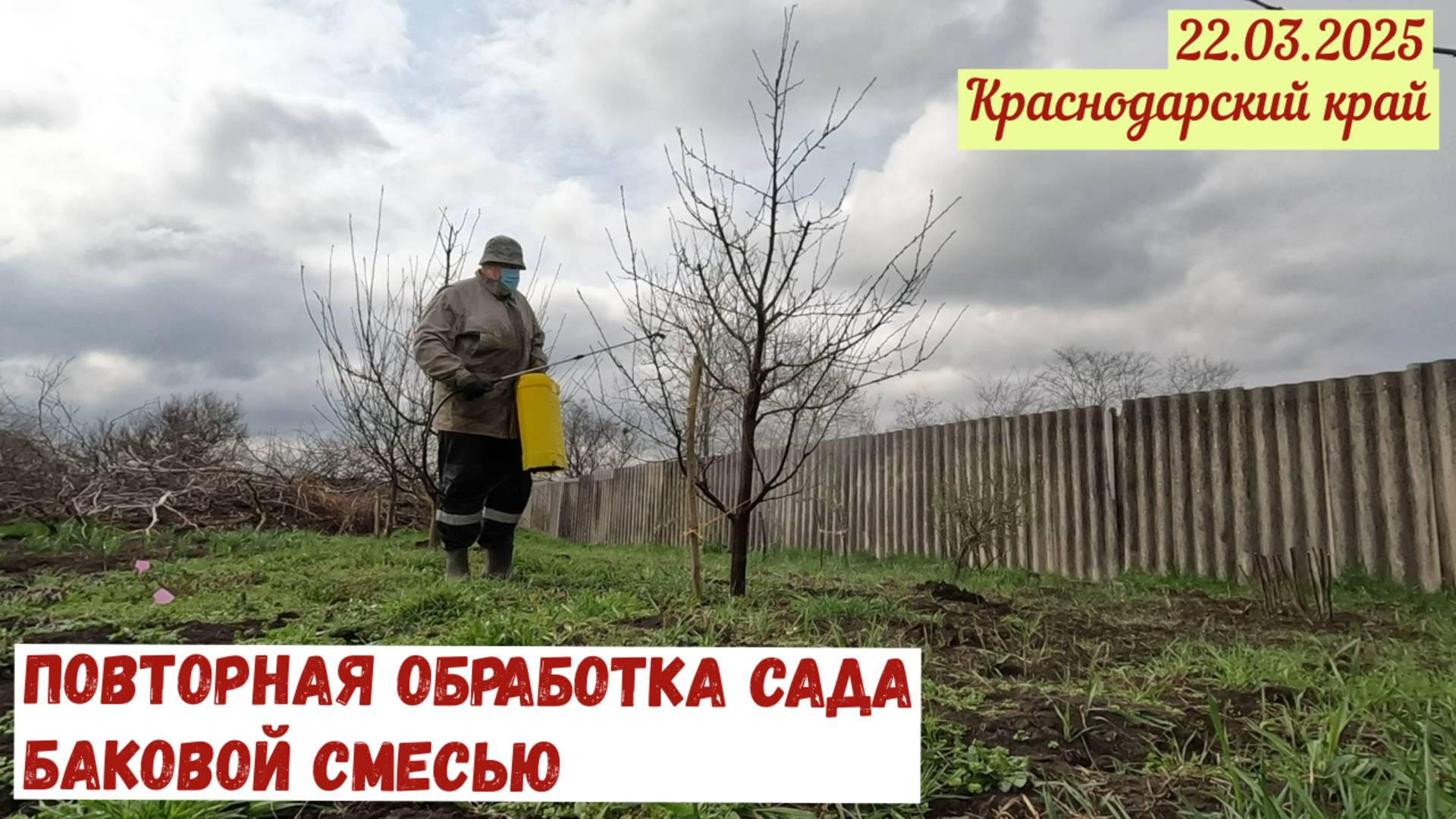 Краснодарский край(22.03.2025). Повторно обработал сад баковой смесью.