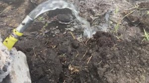 Абиссинская скважина в дома, своими руками. БЕЗ ОПЫТА. 2019 05 20