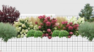 Как сделать схему посадок по фотографиям из интернета #ландшафтныйдизайн #сад #идеидлясада