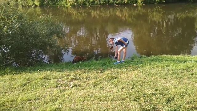 Магнитка и Настя играются смотреть онлайн