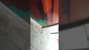 скулбой в пж 1 часть