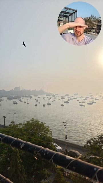 Красивые виды для завтрака в Мумбаи смотреть онлайн