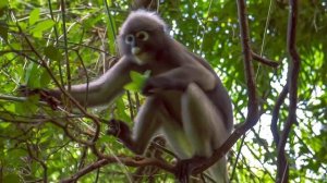 Таиланд. Travel Regatta