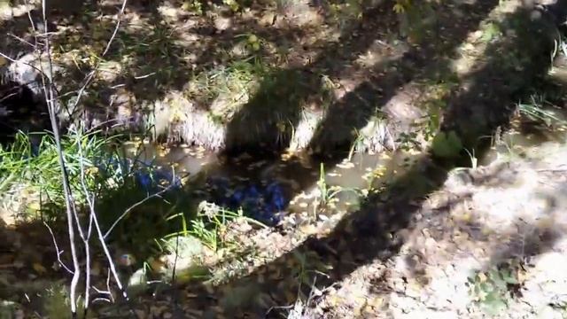 25.09.2021.  Отдых вместе с семьёй