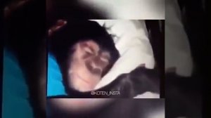 Ержан, вставай, на работу пора. ОРИГИНАЛ!