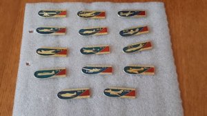 Развитие авиации в СССР, значки. Полный набор