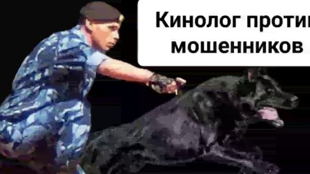 И снова кинолог инвестирует!