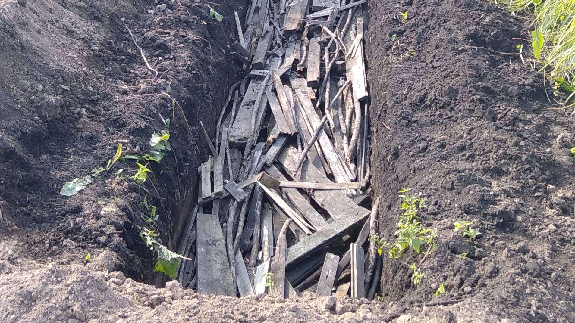 Теплые грядки для арбузов и дынь в условиях Сибири..