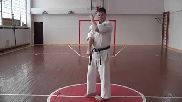 Техника аттестации кёкусинкай каратэ на 10-кю смотреть онлайн
