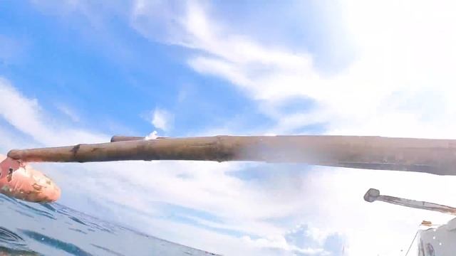 Преодолеваю мои страхи! 3 Дня на острове Бохол на Филиппинах смотреть онлайн