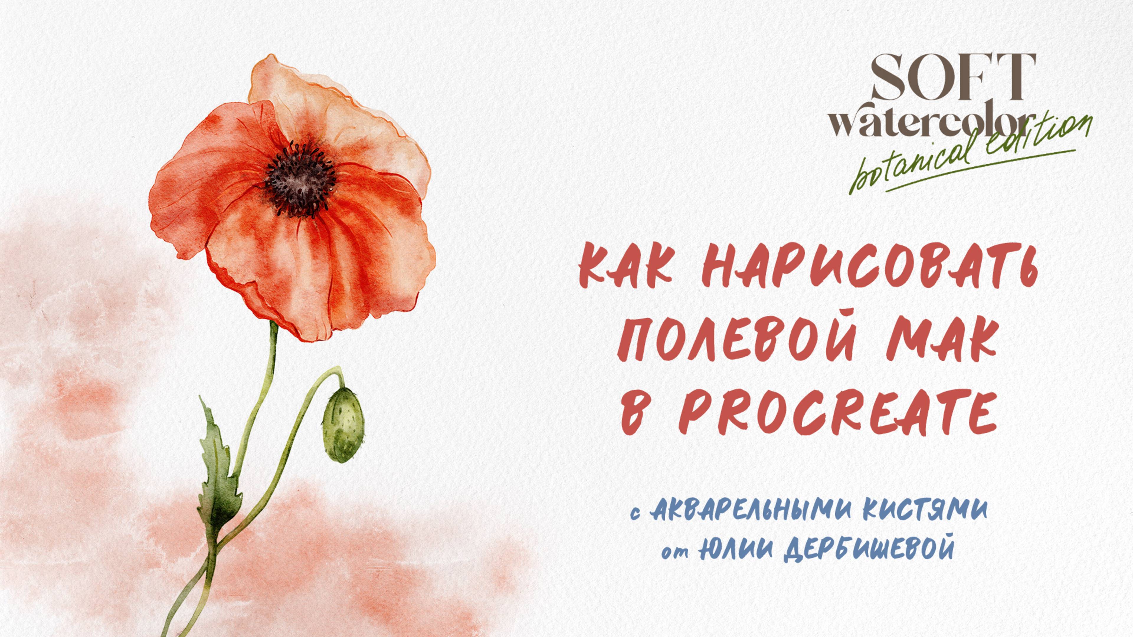 Как нарисовать акварелью в Procreate цветок дикого мака - простой урок с процессом Прокриэйт