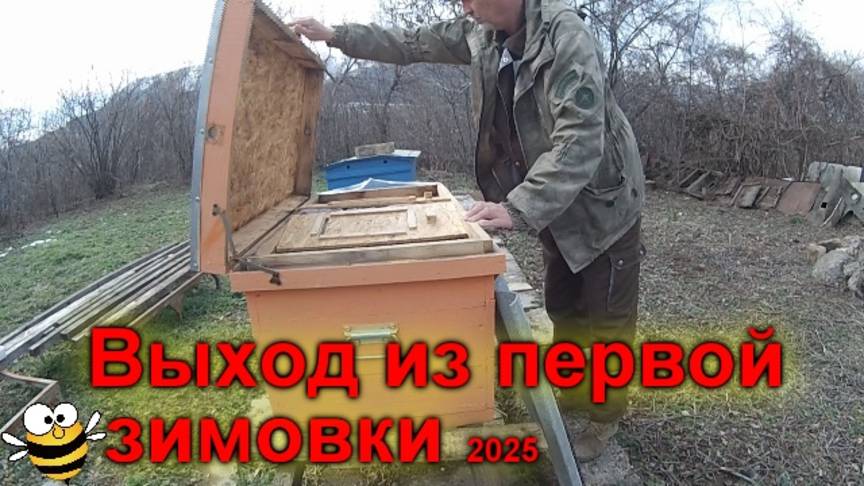 Первый осмотр 2025 +ПОДКОРМКА смотреть онлайн