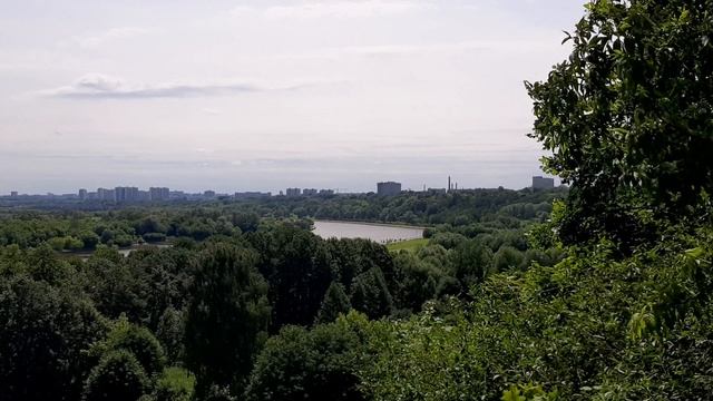 14.06.2020. Москва Парк Коломенский.