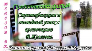 Стратификация и очевидный успех с косточками В.Железова.
