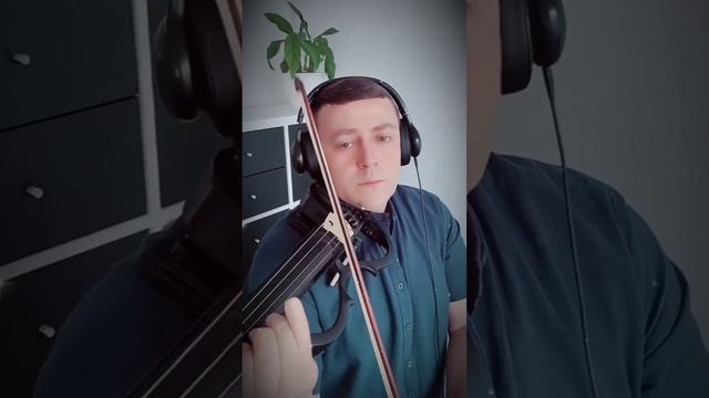 ПЛАЧЬ СКРИПКА, ПЛАЧЬ