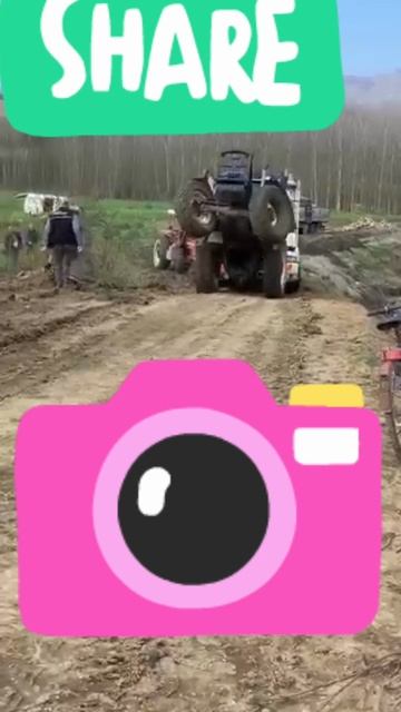 Рамазан быкует