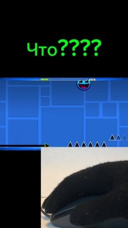 Типичные видео ютуб шортс  
Снимал сам 😂😂😂😂😂
