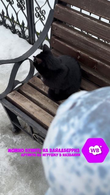Проверил братву Артикул на ВБ: 265571463 #мягкиеигрушки #игрушки #тюлень #юмор #прикол #мем