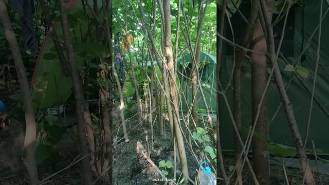 6 августа 2023 г. смотреть онлайн