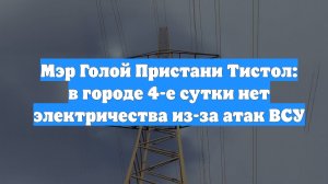 Мэр Голой Пристани Тистол: в городе 4-е сутки нет электричества из-за атак ВСУ