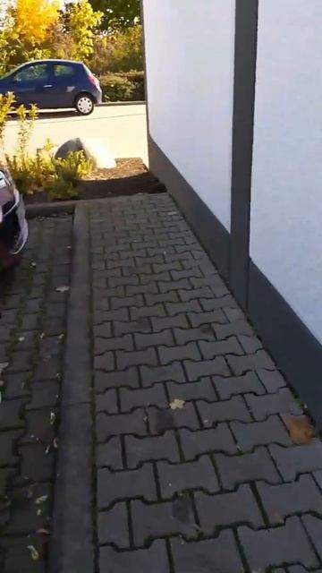 Нива В Германии работает на Фирму смотреть онлайн